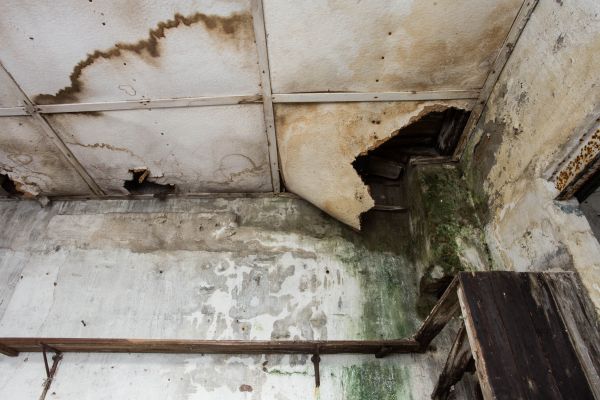 Water Damage Service in Poughkeepsie
